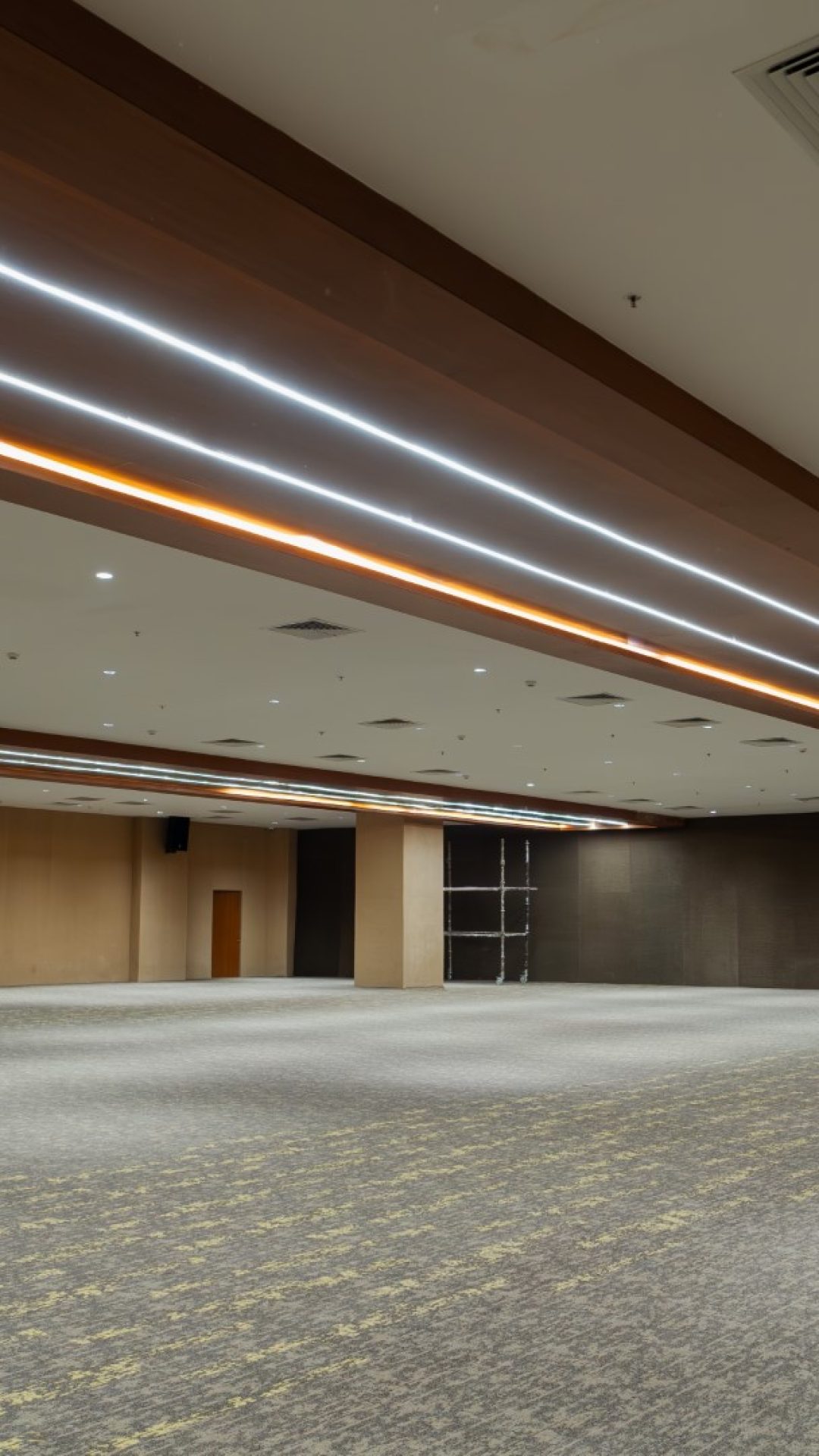 TS_08695-Enhanced-NR (Large)